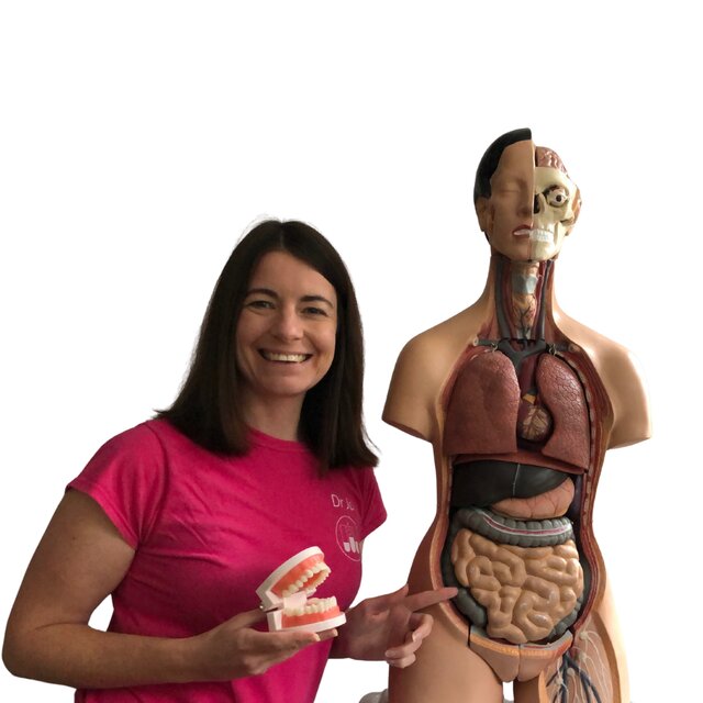 Brilliant Bodies Live