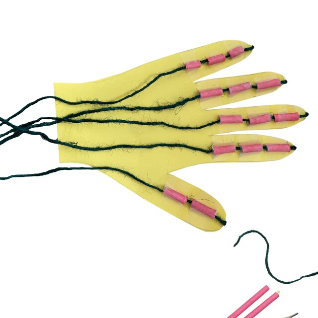 Your Future Body – Build a Robot Hand Grabber