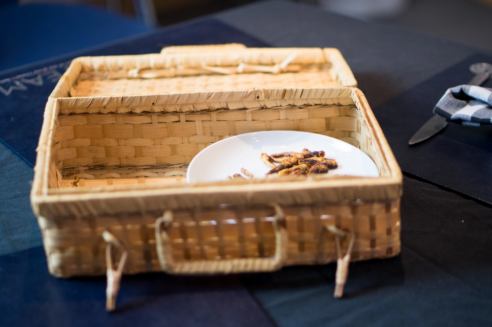 The Festival of Tomorrow - Big Bug Bake Off