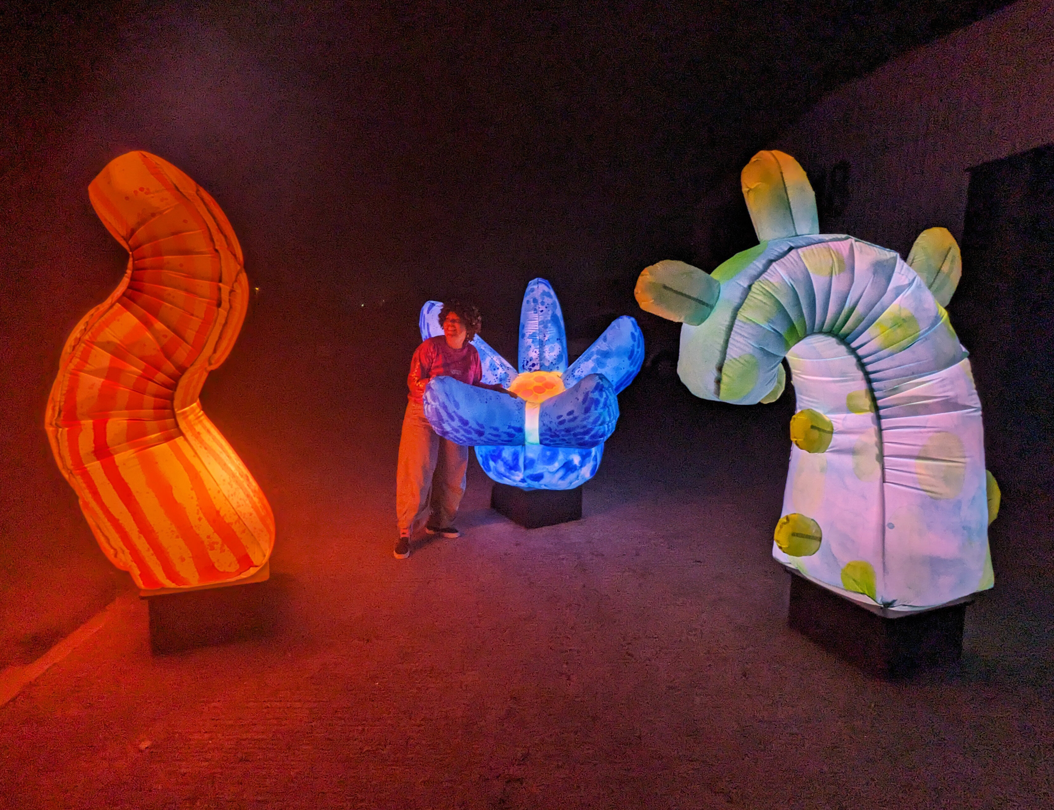 The Festival of Tomorrow - Plan your week